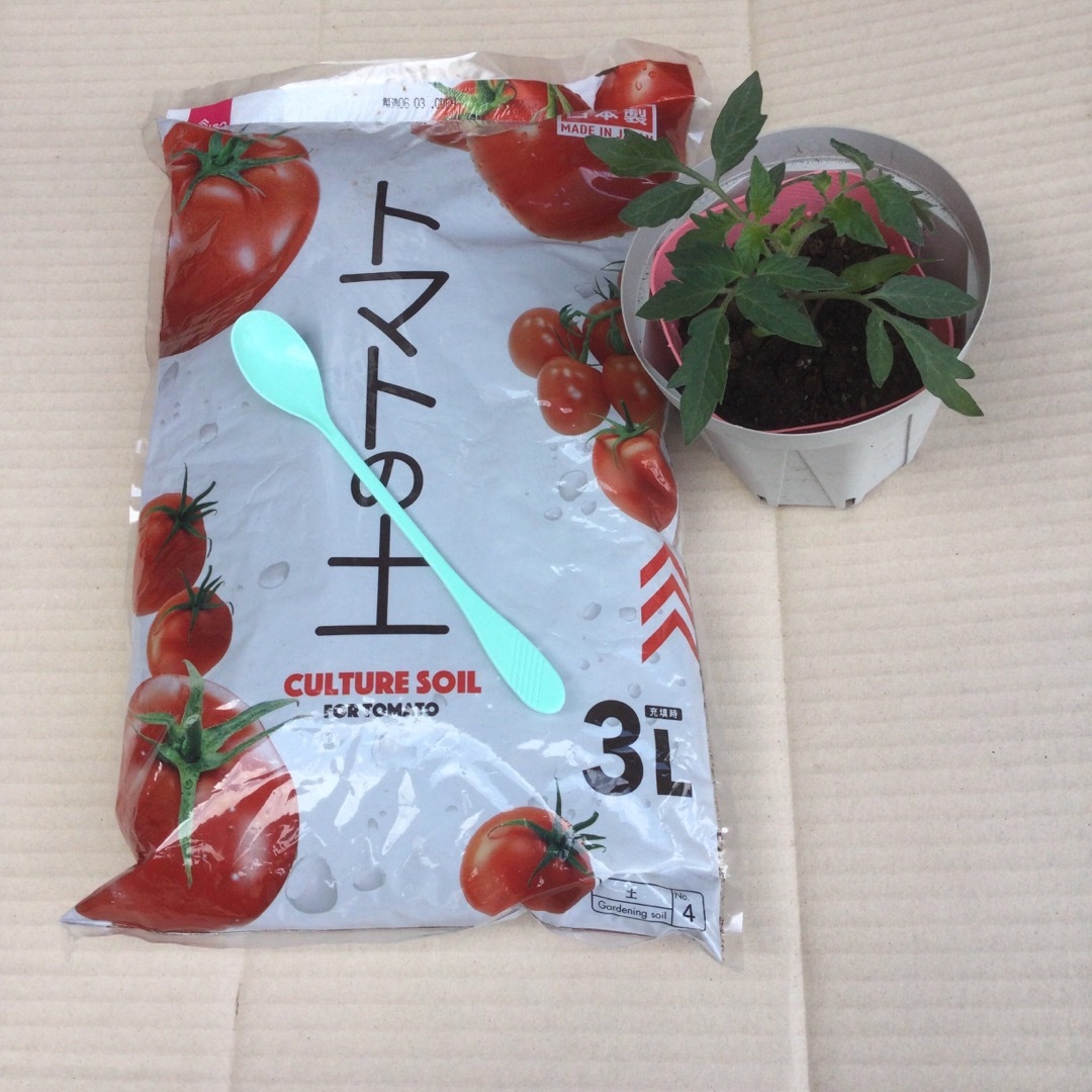 鉢上げ　トマト育成ポット→ 地植え専用の仕様•植え替え　◉ CSM105鉢 ハンドメイドのフラワー/ガーデン(プランター)の商品写真