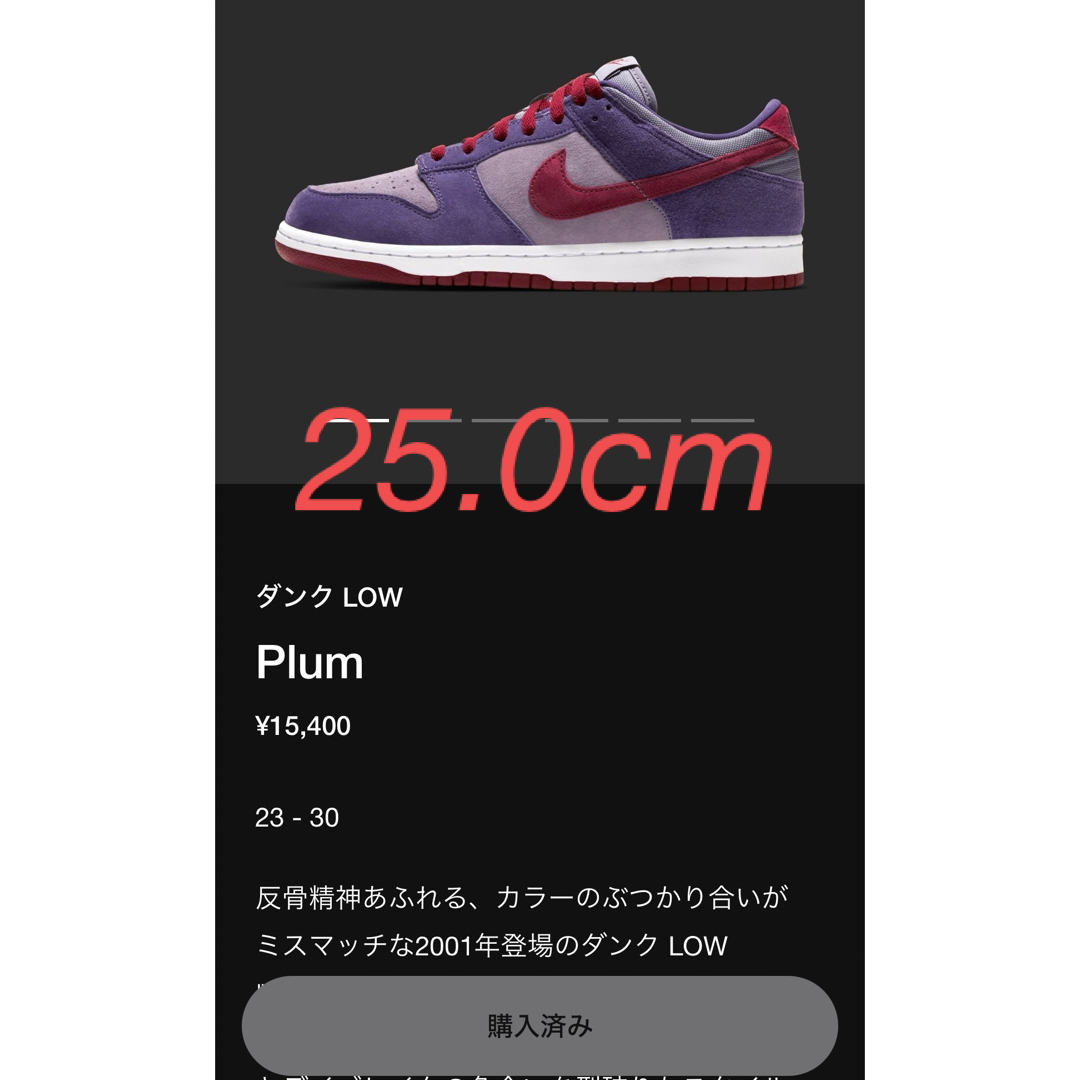 NIKE(ナイキ)のNIKE DUNK LOW PLUM ナイキ ダンク プラム メンズの靴/シューズ(スニーカー)の商品写真