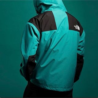 ザノースフェイス(THE NORTH FACE)のTHE NORTH FACE 1986 FUTURELIGHT Jacket(マウンテンパーカー)