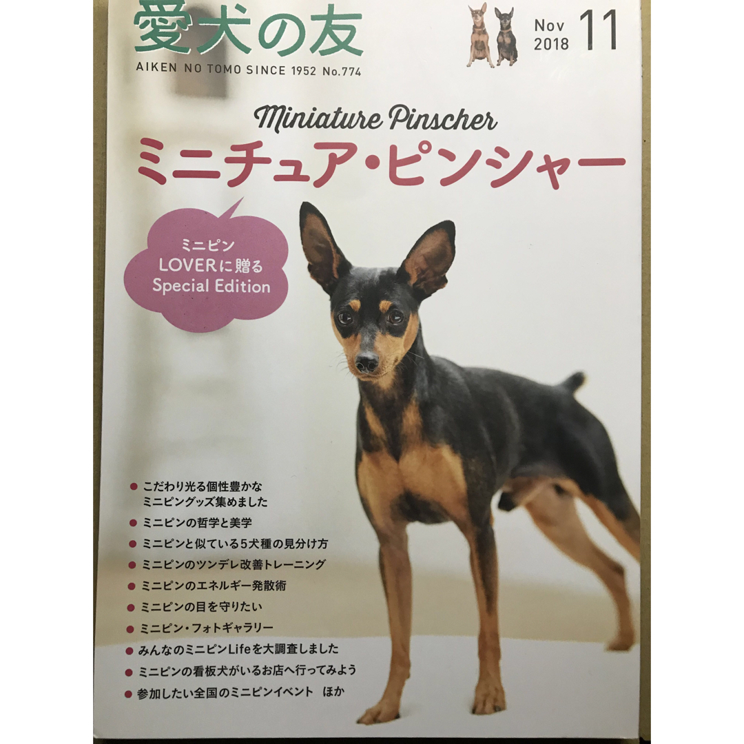愛犬の友2018年11月 エンタメ/ホビーの本(趣味/スポーツ/実用)の商品写真