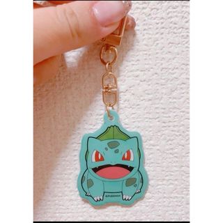 ポケモン - 【韓国限定・非売品】ポケモンキーホルダー(フシギダネ)