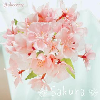 富士砂 細目 微粒 2L 1800g【アガベ、化粧砂、化粧石】の通販 by