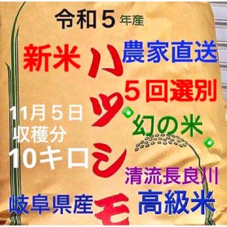 ✳️令和５年産✳️５回色彩選別・有機肥料・送料無料ハツシモ10キロ(米/穀物)