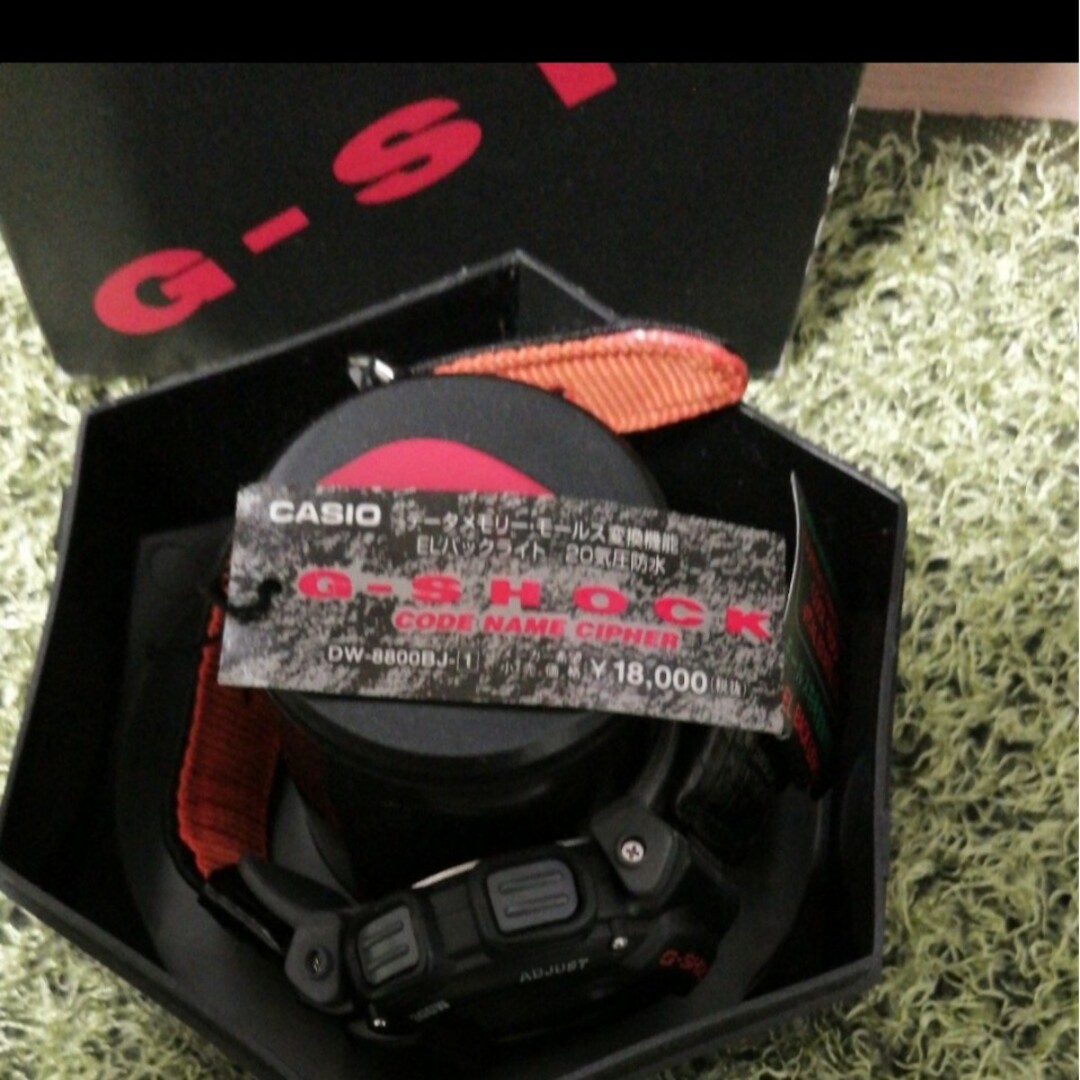 G-SHOCK(ジーショック)のCASIO G-SHOCK DW-8800 カシオ Gショック　新品　腕時計 メンズの時計(腕時計(デジタル))の商品写真