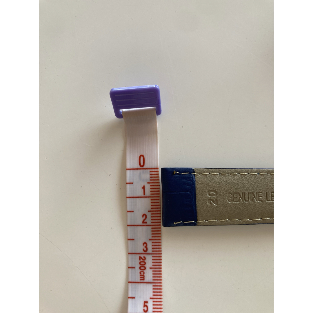 レザーウォッチバンド　ブルー　工具　専用ケース付属 メンズの時計(レザーベルト)の商品写真