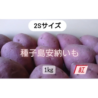 種子島安納いも紅2S１キロ(野菜)