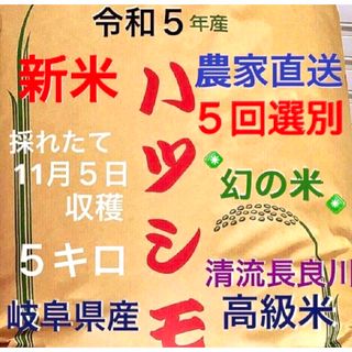 ✳️令和５年産✳️５回色彩選別・有機肥料・送料無料ハツシモ５キロ(米/穀物)