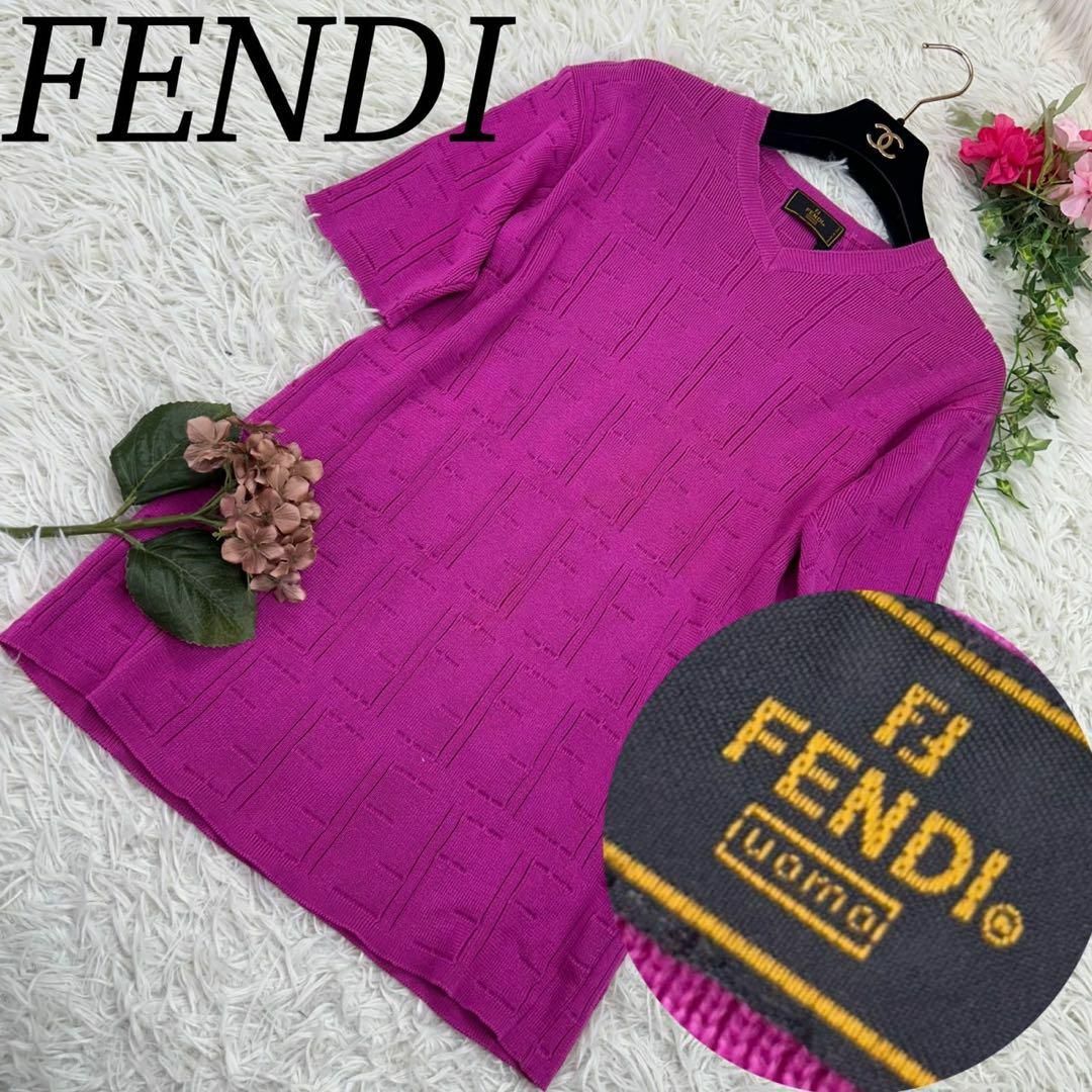 FENDI(フェンディ)のフェンディ レディース XLサイズ 大きいサイズ 半袖 ニット セーター ズッカ レディースのトップス(ニット/セーター)の商品写真