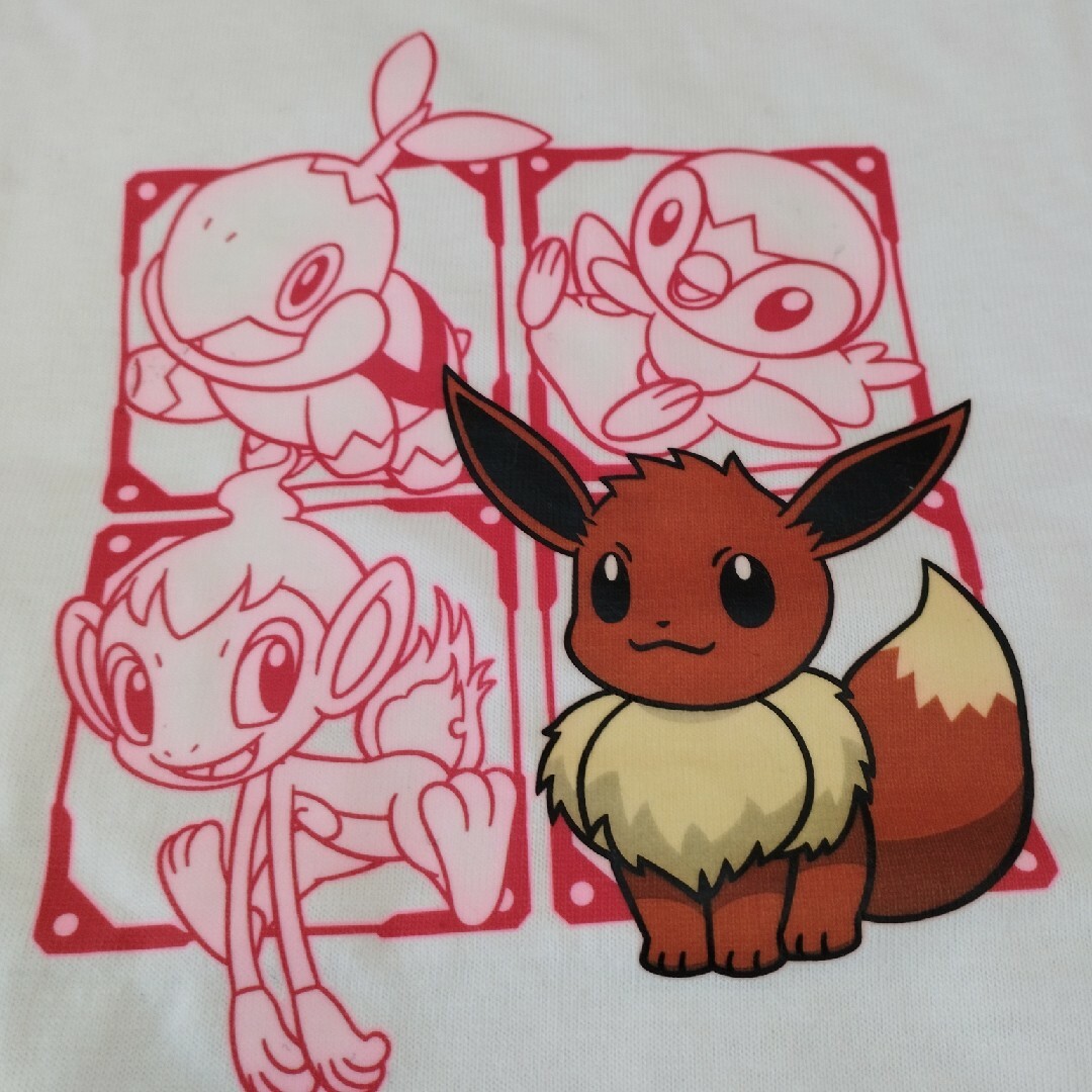 ポケモン(ポケモン)のポケモンだいすきクラブ　イーブイ　Tシャツ　　150 キッズ/ベビー/マタニティのキッズ服女の子用(90cm~)(Tシャツ/カットソー)の商品写真