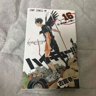 ハイキュ－！！16巻(その他)