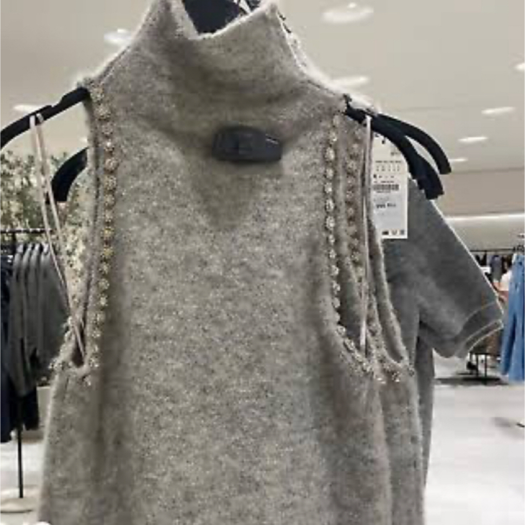 ZARA(ザラ)のZARA 今期 2024 ニット ビジュ タートルネック  グレー トップス レディースのトップス(ニット/セーター)の商品写真