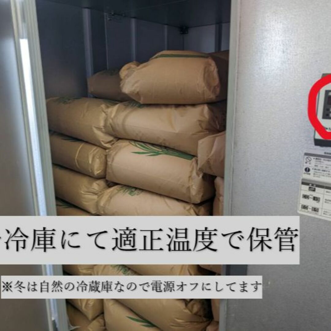 【送料無料】ななつぼし　１等米　白米8合(1.2ｋｇ)　特A北海道米　令和５年産 食品/飲料/酒の食品(米/穀物)の商品写真