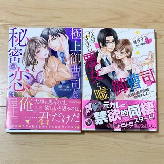 TLコミック2冊セット(女性漫画)