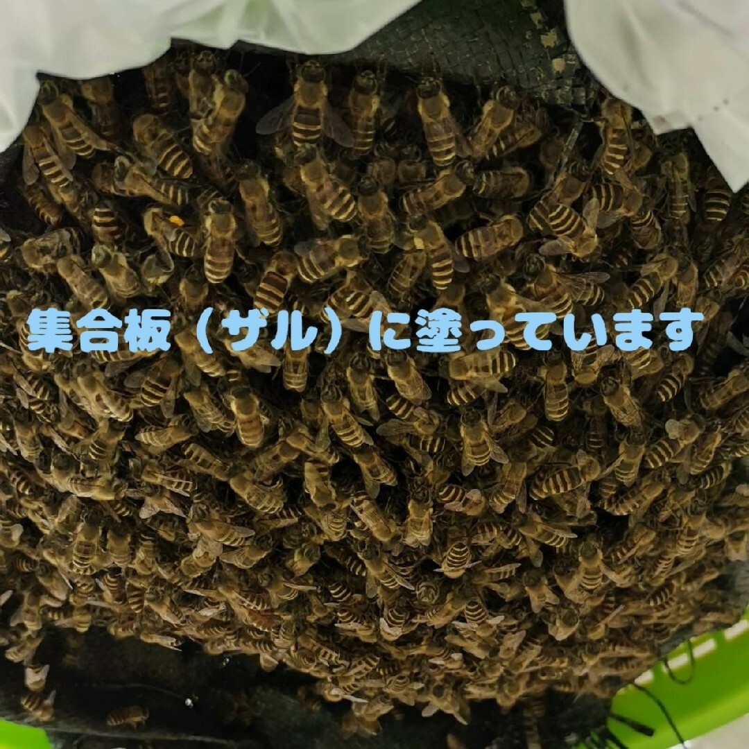 日本蜜蜂誘引1200ml ミツロウ50g　巣クズ玉4こ その他のペット用品(虫類)の商品写真