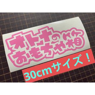 30cmタイプオトナのおもちゃ箱ステッカー カラー変更可能 タックルボックスにも(その他)