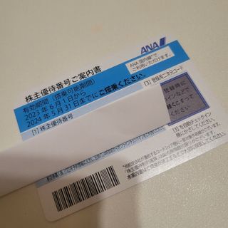 エーエヌエー(ゼンニッポンクウユ)(ANA(全日本空輸))のANA 株主優待券（有効期限:2024/5/31）(航空券)