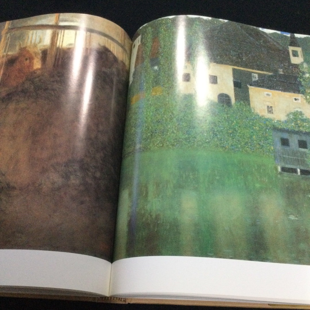 グスタフ　クリムト　作品集　画集　洋書　Klimt Life and Work エンタメ/ホビーの本(洋書)の商品写真
