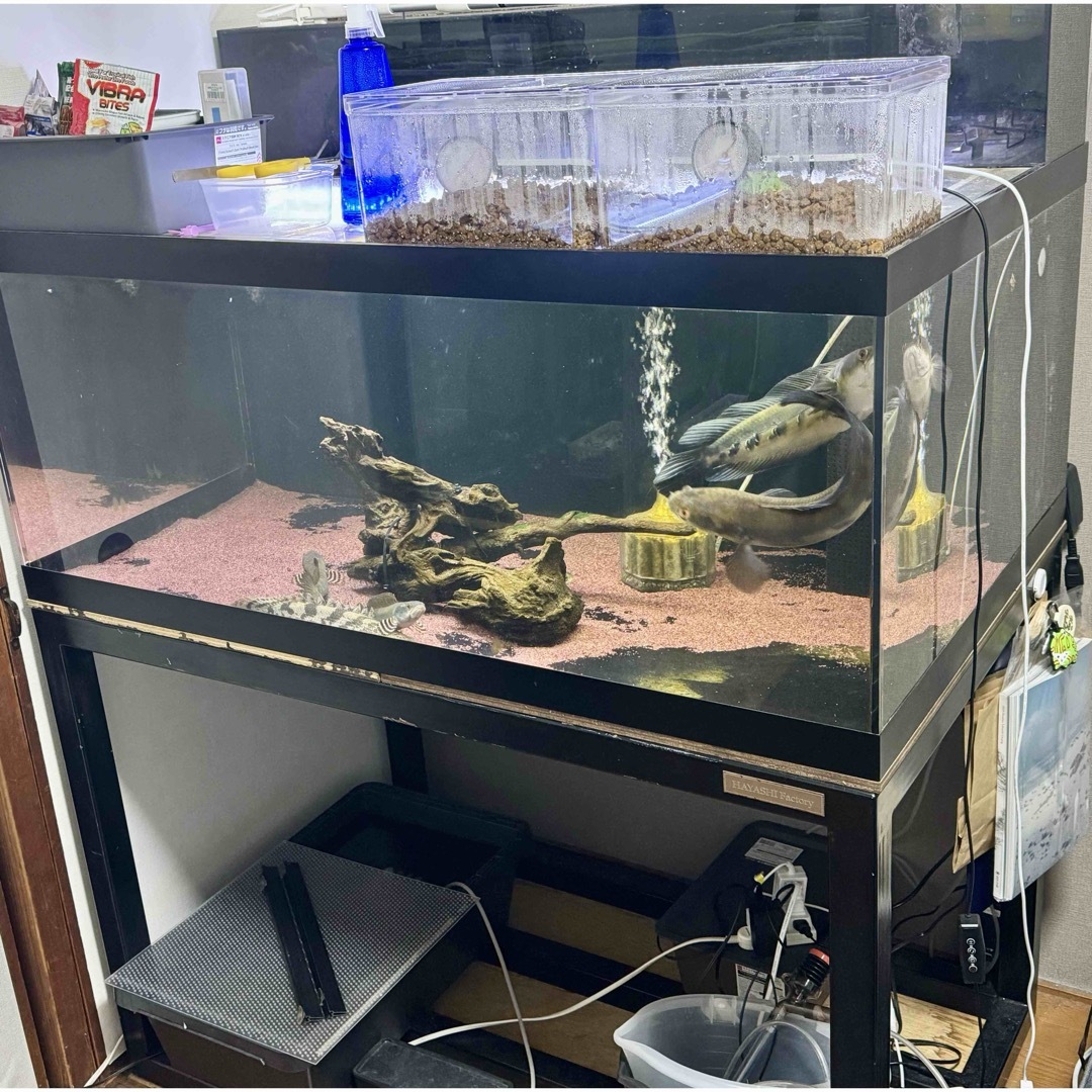 1200水槽セット 引き取り限定 - 魚用品/水草 1200水槽セット 引き取り限定 - 魚用品/水草