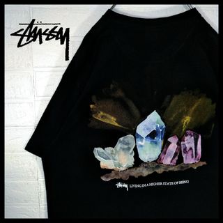 ステューシー(STUSSY)の【STUSSY】ストーンデザイン　ビッグシルエット　Tシャツ(Tシャツ/カットソー(半袖/袖なし))