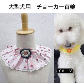 【ペット用】大型犬用犬服首飾りレースフリル付き襟型チョーカー　首輪(犬)