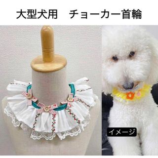 【ペット用】大型犬用犬服首飾りレースフリル付き襟型チョーカー　首輪(犬)