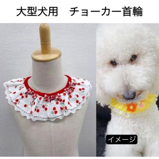 【ペット用】大型犬用犬服首飾りレースフリル付き襟型チョーカー　首輪(犬)