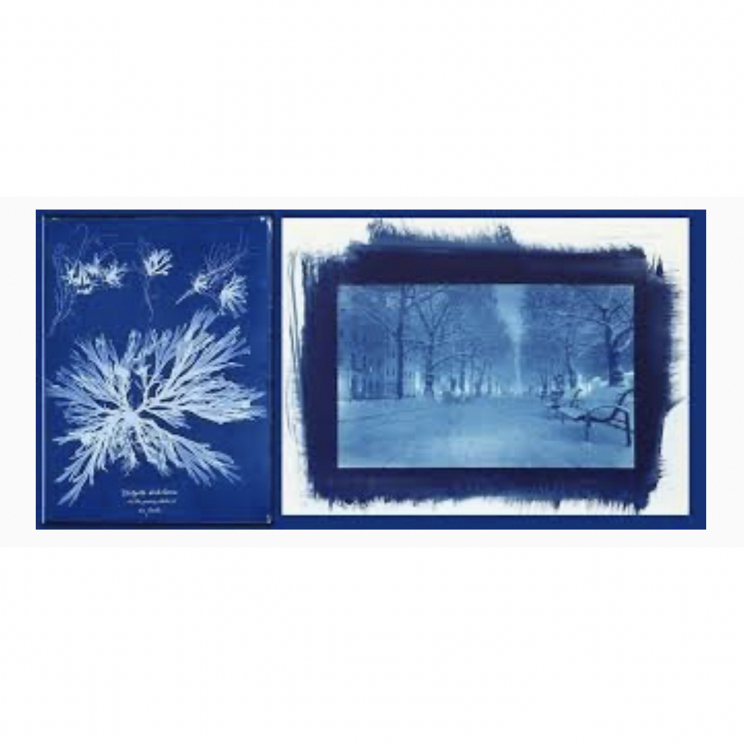 【新品未使用】ジャカード シアノタイプ Cyanotype 増感剤セット 水彩 エンタメ/ホビーのアート用品(絵の具/ポスターカラー)の商品写真