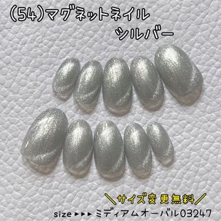 (54)ネイルチップ ハンドメイド マグネット シルバー(つけ爪/ネイルチップ)