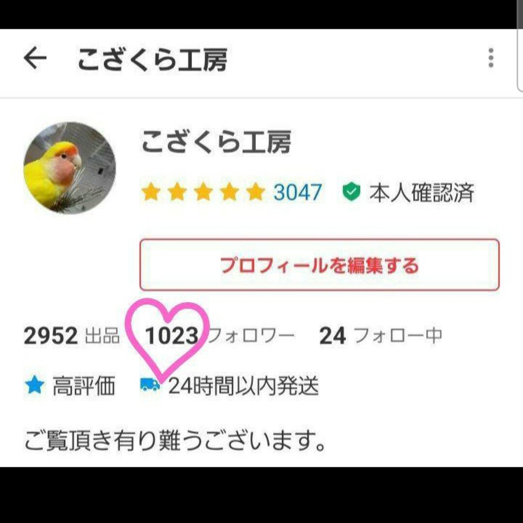 84⭐　い草お試しセット　⭐　インコ　カジカジ、ガジガジおもちゃ　バードトイ その他のペット用品(鳥)の商品写真