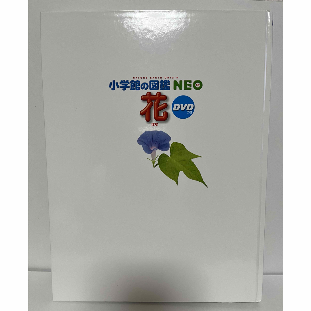 小学館(ショウガクカン)の小学館の図鑑NEO 花 エンタメ/ホビーの本(絵本/児童書)の商品写真