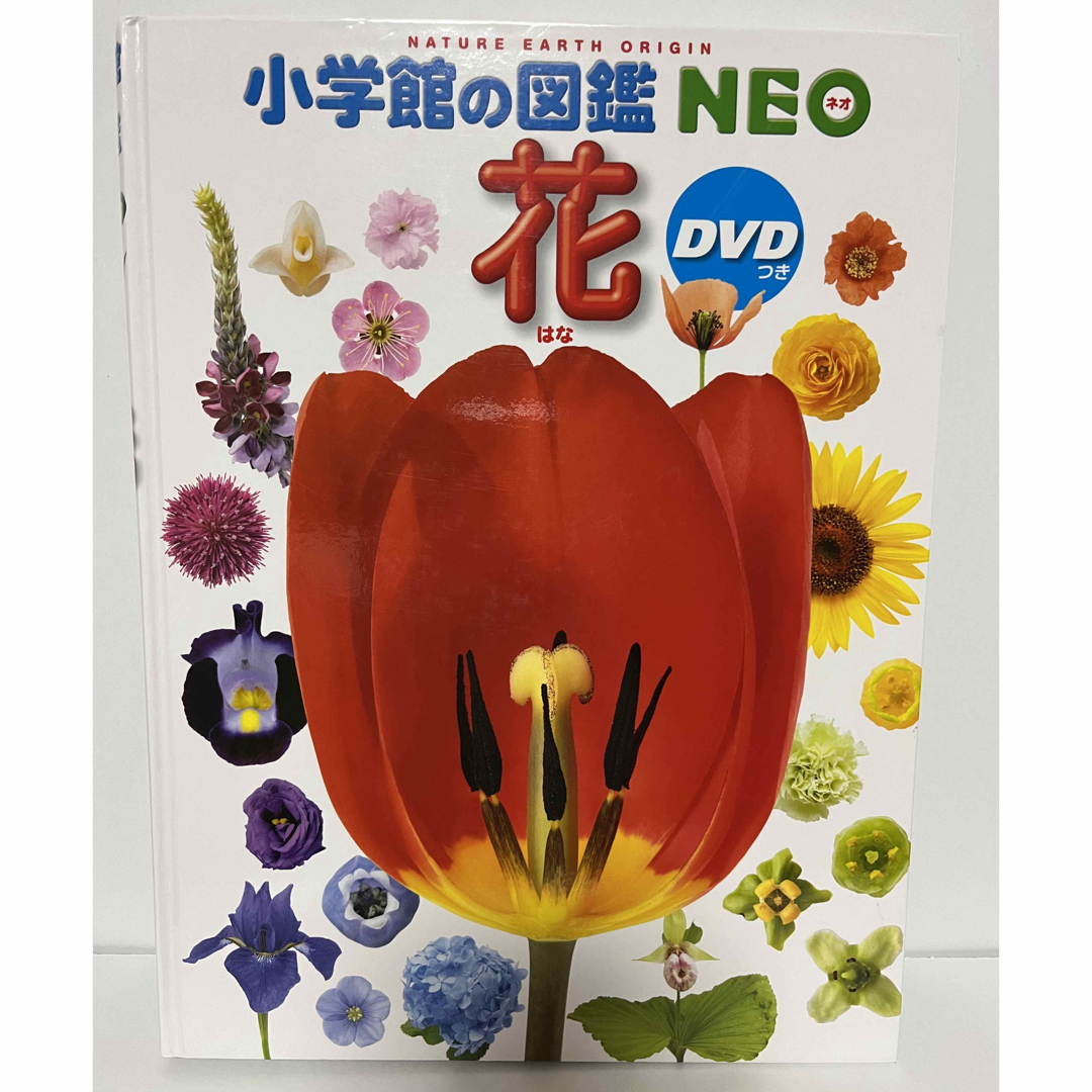 小学館(ショウガクカン)の小学館の図鑑NEO 花 エンタメ/ホビーの本(絵本/児童書)の商品写真