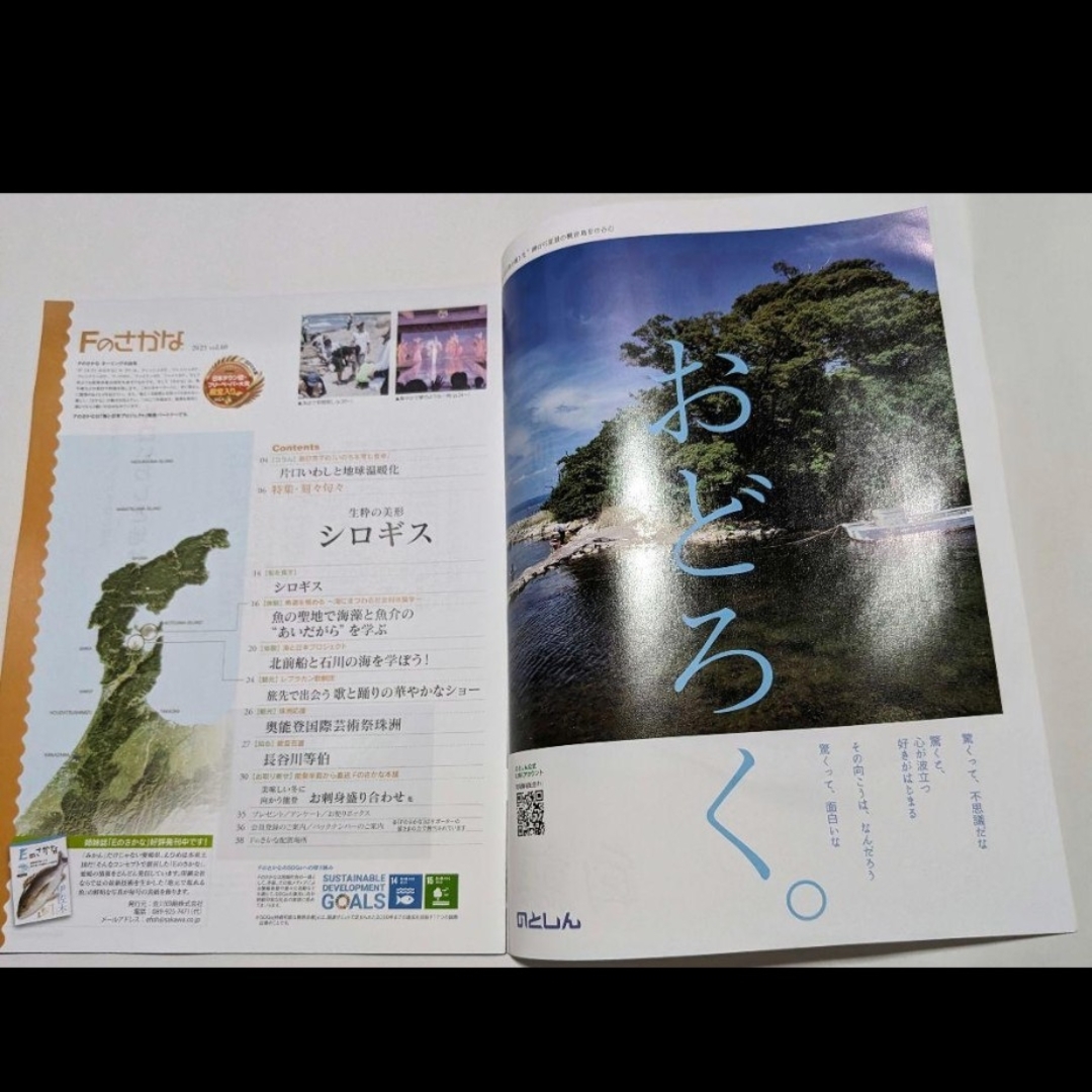 新品★【Ｆのさかな】2023/60号　白鱚　規則正しい渚の貴婦人 エンタメ/ホビーの雑誌(料理/グルメ)の商品写真