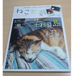 ねこ2012年春号(人文/社会)