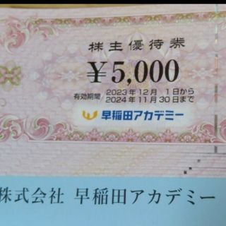 早稲田アカデミー 株主優待券40枚200,000円分(その他)