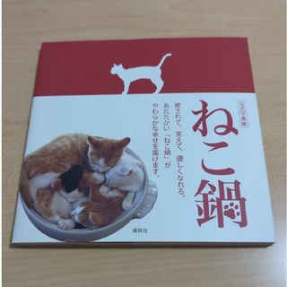 ねこ鍋(趣味/スポーツ/実用)