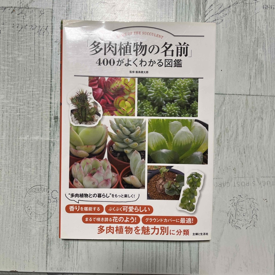 「多肉植物の名前」４００がよくわかる図鑑 エンタメ/ホビーの本(趣味/スポーツ/実用)の商品写真