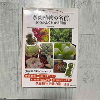 「多肉植物の名前」４００がよくわかる図鑑(趣味/スポーツ/実用)