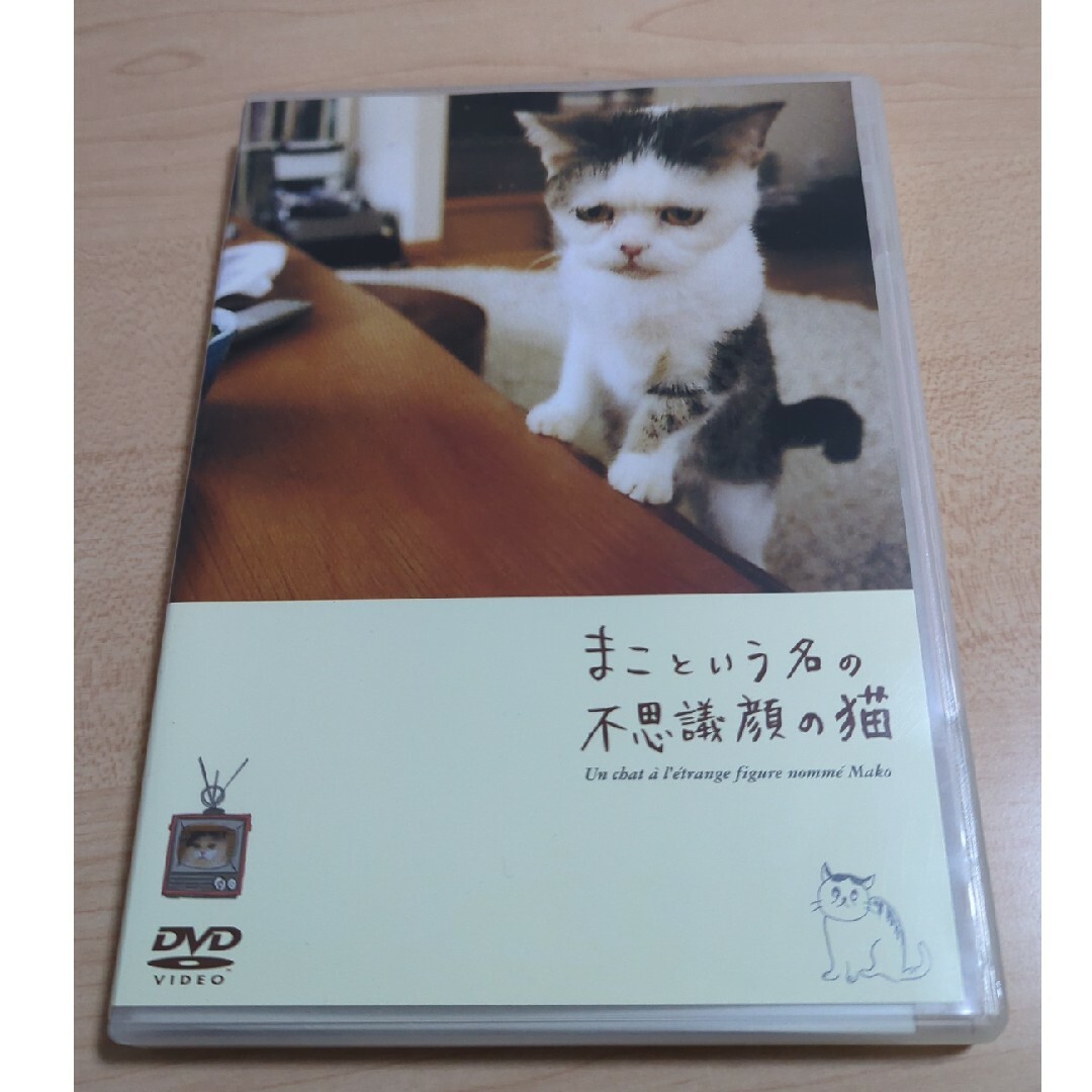 DVD「まこという名の不思議顔の猫」 エンタメ/ホビーのDVD/ブルーレイ(ドキュメンタリー)の商品写真