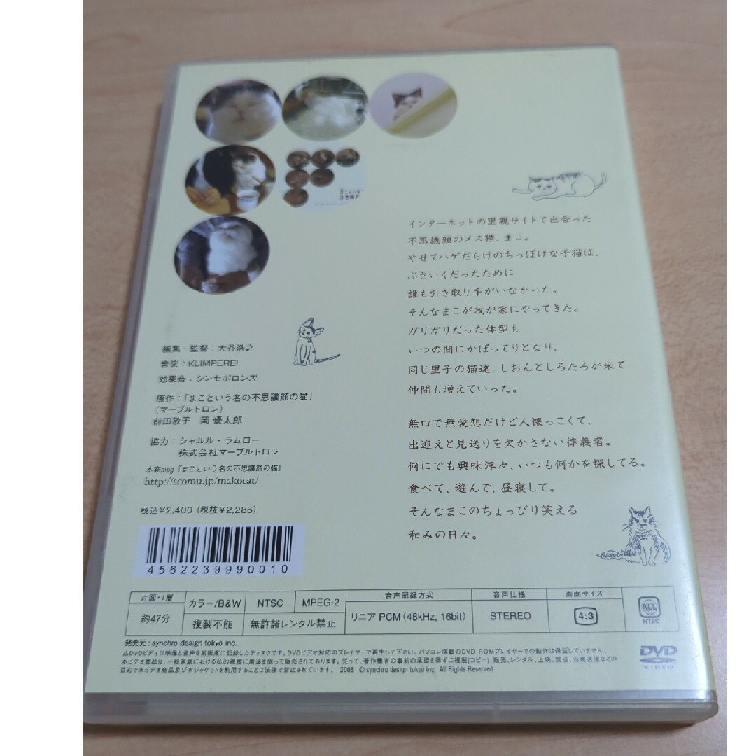 DVD「まこという名の不思議顔の猫」 エンタメ/ホビーのDVD/ブルーレイ(ドキュメンタリー)の商品写真