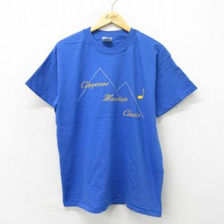 ヘインズ(Hanes)のL★古着 ヘインズ Hanes 半袖 ビンテージ Tシャツ メンズ 90年代 90s 山 コットン USA製 青 ブルー 23jun08 中古(Tシャツ/カットソー(半袖/袖なし))