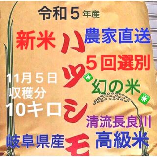 ✳️令和５年産✳️５回色彩選別・有機肥料・送料無料ハツシモ10キロ(米/穀物)