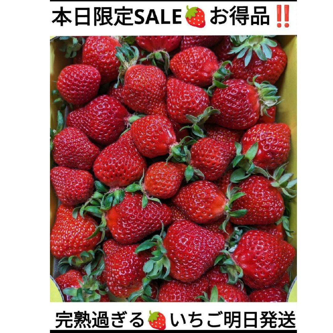 SALE!!完熟過ぎちゃったいちご^^ゆうべに 食品/飲料/酒の食品(フルーツ)の商品写真