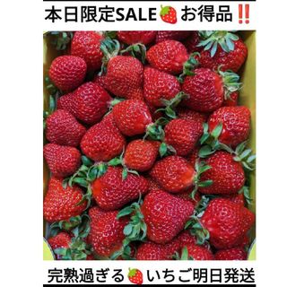 SALE!!完熟過ぎちゃったいちご^^ゆうべに(フルーツ)