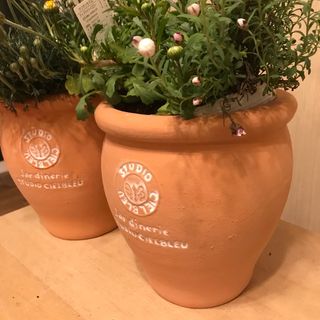 [2個】素焼き　壺型テラコッタ鉢 多肉植物鉢　植木鉢 ガーデニング 寄せ植え(プランター)