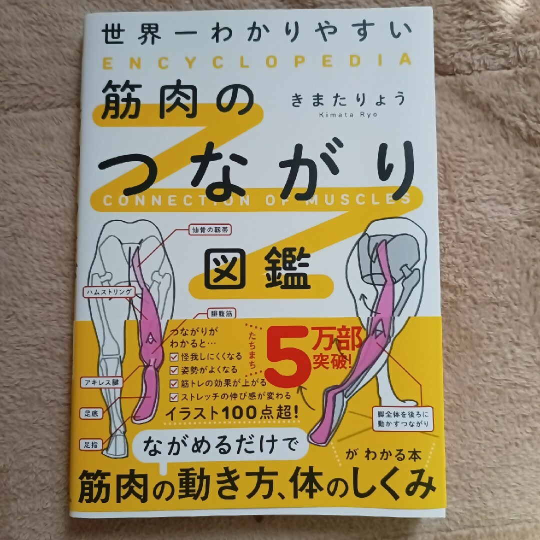 世界一わかりやすい筋肉のつながり図鑑 エンタメ/ホビーの本(趣味/スポーツ/実用)の商品写真