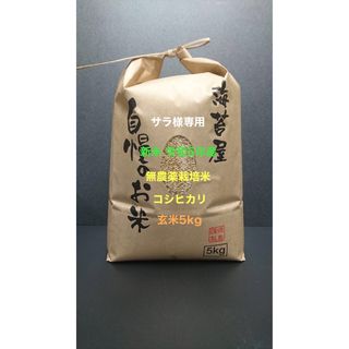 サラ様専用 無農薬コシヒカリ玄米5kg 令和5年産(米/穀物)