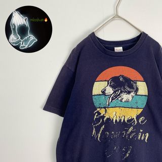 【半袖Tシャツ　アニマル　犬　プリントデザイン　紺　オレンジ　緑　黄　古着】(Tシャツ/カットソー(半袖/袖なし))