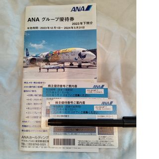 エーエヌエー(ゼンニッポンクウユ)(ANA(全日本空輸))のANA 全日本空輸　株主優待券　2枚 2024年5月31日まで(航空券)