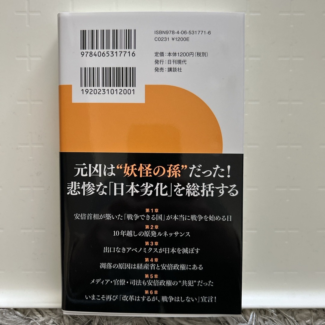 講談社(コウダンシャ)の分断と凋落の日本 エンタメ/ホビーの本(文学/小説)の商品写真