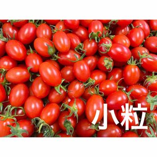 アイコ3kg小粒(野菜)